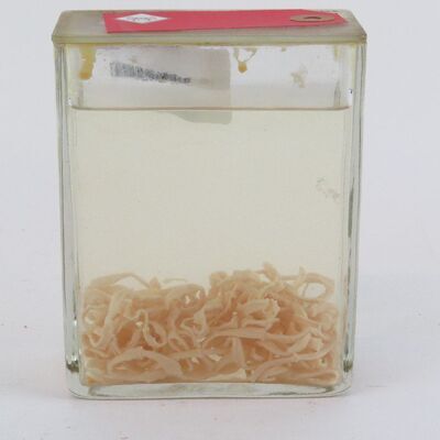 Voorwerpen adlib\20000\v27899-a.jpg; V27899; ;